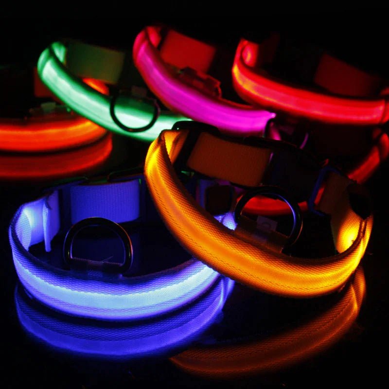 LED Adjustable Dog Collar Blinking Flashing Light Up Glow Pets Safety Waterproof - Absolute Discounts