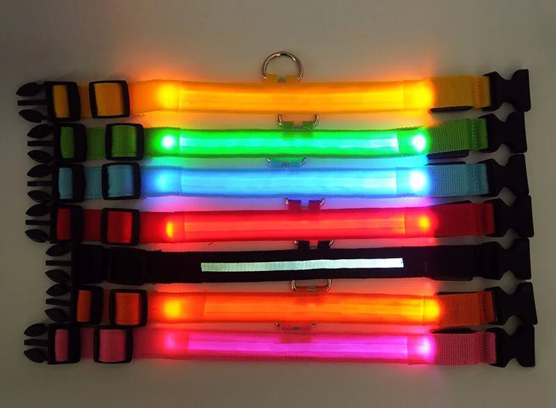 LED Adjustable Dog Collar Blinking Flashing Light Up Glow Pets Safety Waterproof - Absolute Discounts