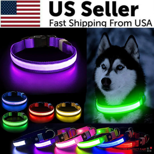 LED Adjustable Dog Collar Blinking Flashing Light Up Glow Pets Safety Waterproof - Absolute Discounts