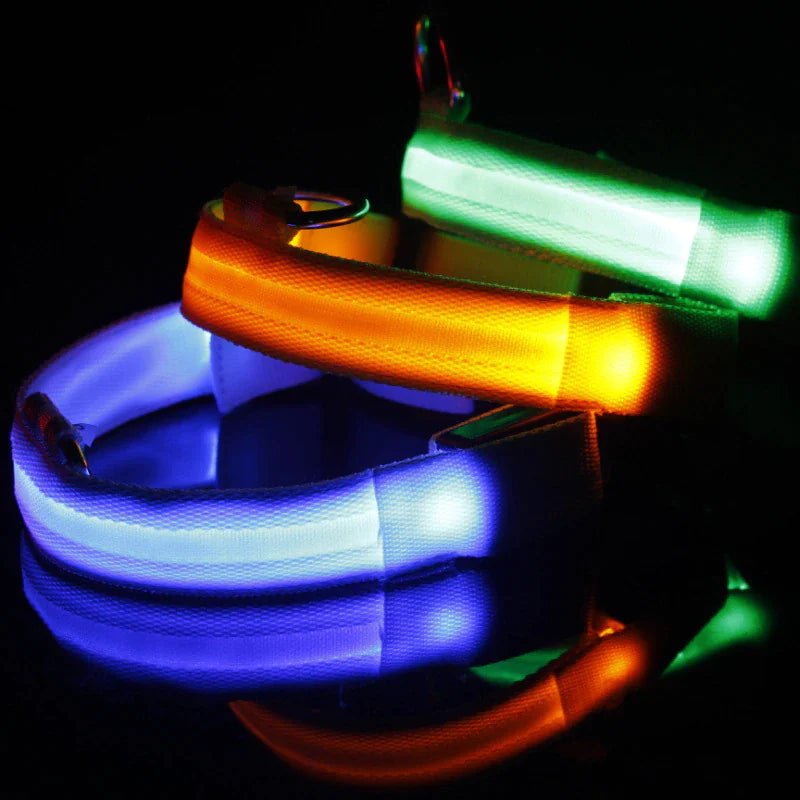 LED Adjustable Dog Collar Blinking Flashing Light Up Glow Pets Safety Waterproof - Absolute Discounts