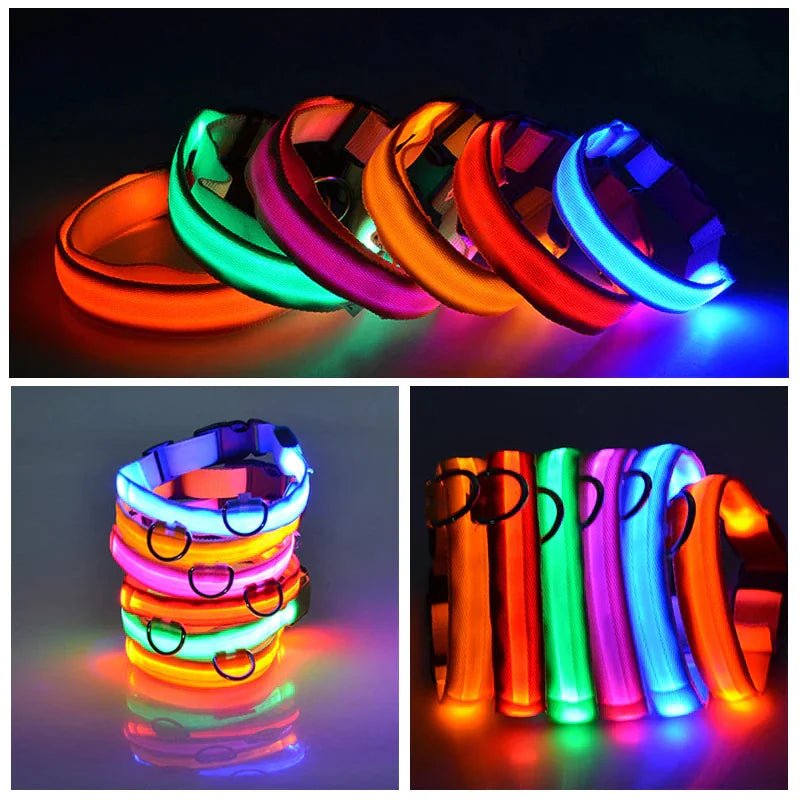 LED Adjustable Dog Collar Blinking Flashing Light Up Glow Pets Safety Waterproof - Absolute Discounts