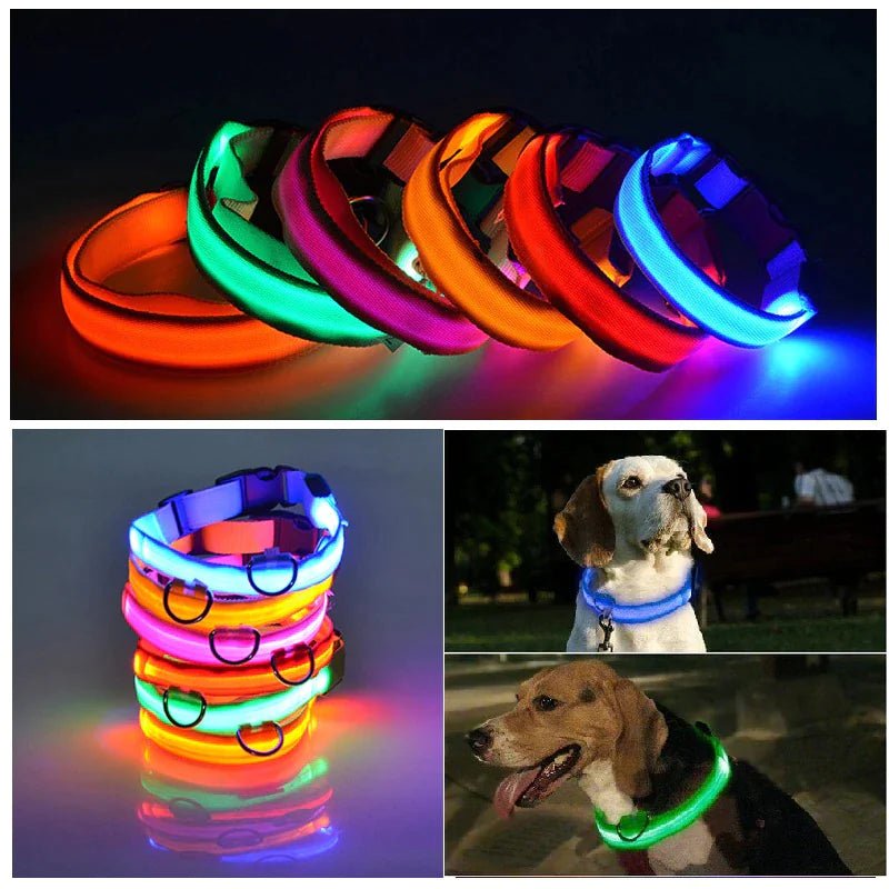 LED Adjustable Dog Collar Blinking Flashing Light Up Glow Pets Safety Waterproof - Absolute Discounts