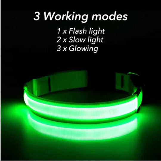 LED Adjustable Dog Collar Blinking Flashing Light Up Glow Pets Safety Waterproof - Absolute Discounts