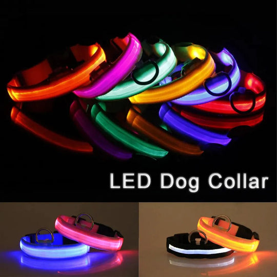 LED Adjustable Dog Collar Blinking Flashing Light Up Glow Pets Safety Waterproof - Absolute Discounts