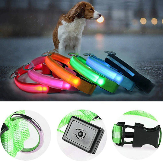 LED Adjustable Dog Collar Blinking Flashing Light Up Glow Pets Safety Waterproof - Absolute Discounts