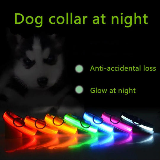 LED Adjustable Dog Collar Blinking Flashing Light Up Glow Pets Safety Waterproof - Absolute Discounts