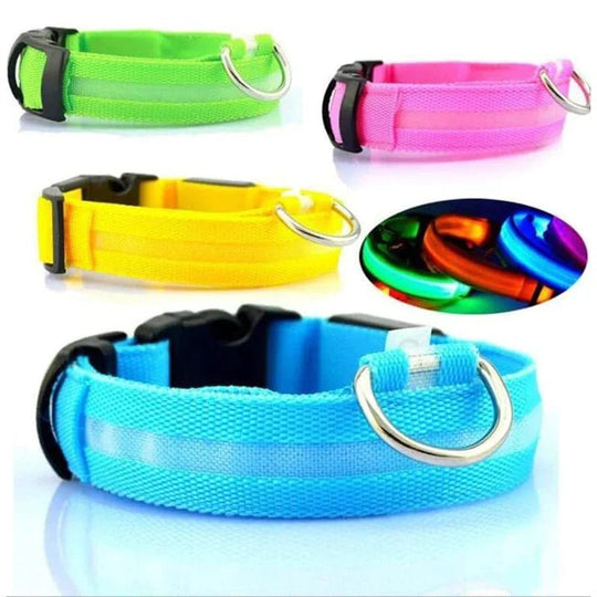 LED Adjustable Dog Collar Blinking Flashing Light Up Glow Pets Safety Waterproof - Absolute Discounts