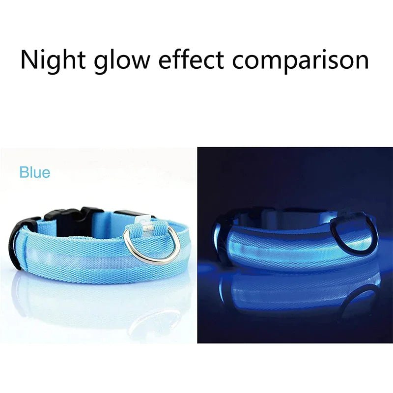 LED Adjustable Dog Collar Blinking Flashing Light Up Glow Pets Safety Waterproof - Absolute Discounts