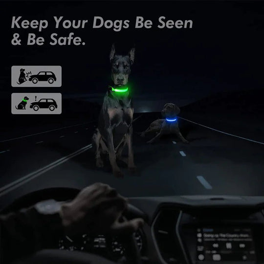 LED Adjustable Dog Collar Blinking Flashing Light Up Glow Pets Safety Waterproof - Absolute Discounts