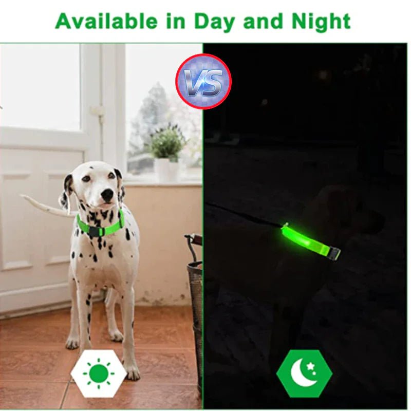 LED Adjustable Dog Collar Blinking Flashing Light Up Glow Pets Safety Waterproof - Absolute Discounts