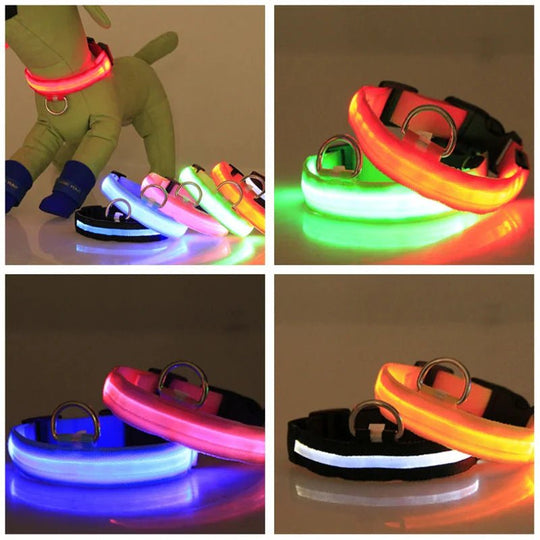LED Adjustable Dog Collar Blinking Flashing Light Up Glow Pets Safety Waterproof - Absolute Discounts