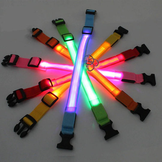 LED Adjustable Dog Collar Blinking Flashing Light Up Glow Pets Safety Waterproof - Absolute Discounts