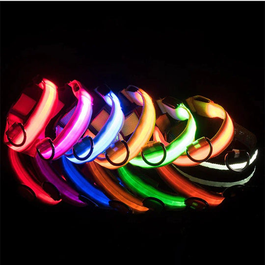 LED Adjustable Dog Collar Blinking Flashing Light Up Glow Pets Safety Waterproof - Absolute Discounts