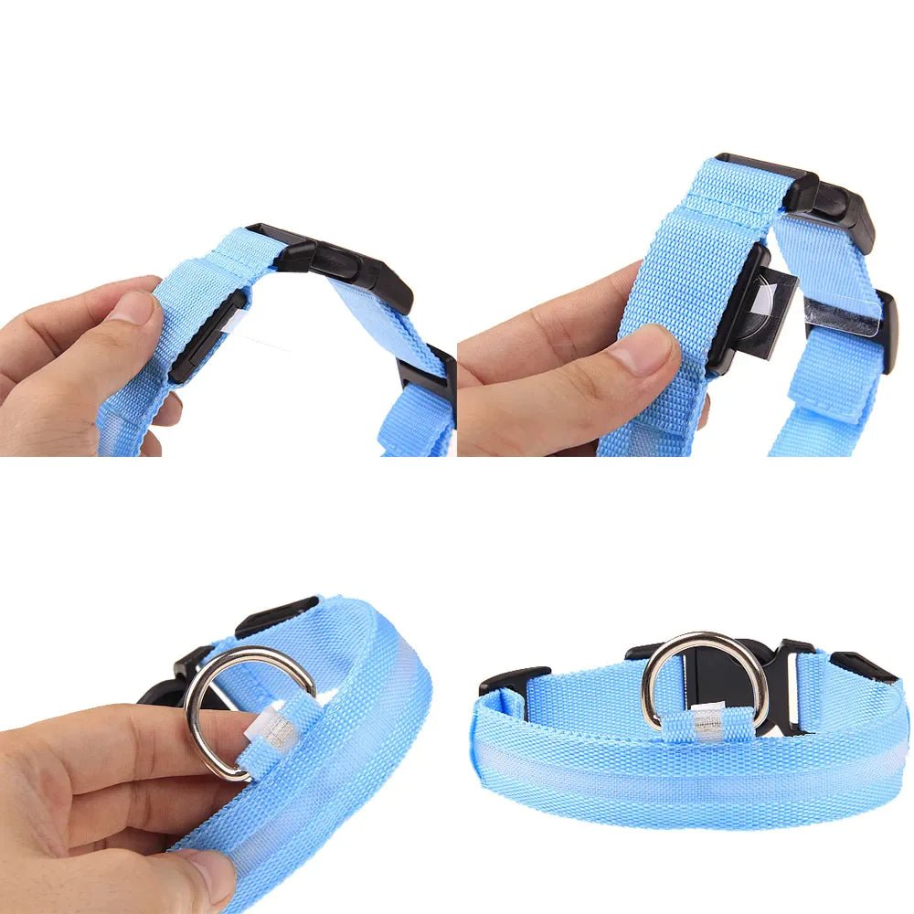 LED Adjustable Dog Collar Blinking Flashing Light Up Glow Pets Safety Waterproof - Absolute Discounts