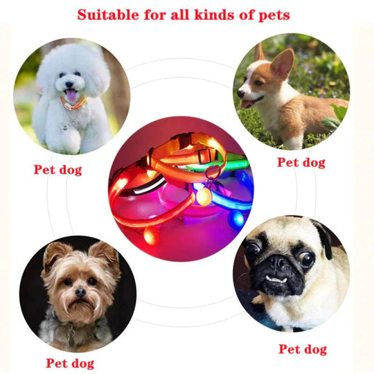 LED Adjustable Dog Collar Blinking Flashing Light Up Glow Pets Safety Waterproof - Absolute Discounts