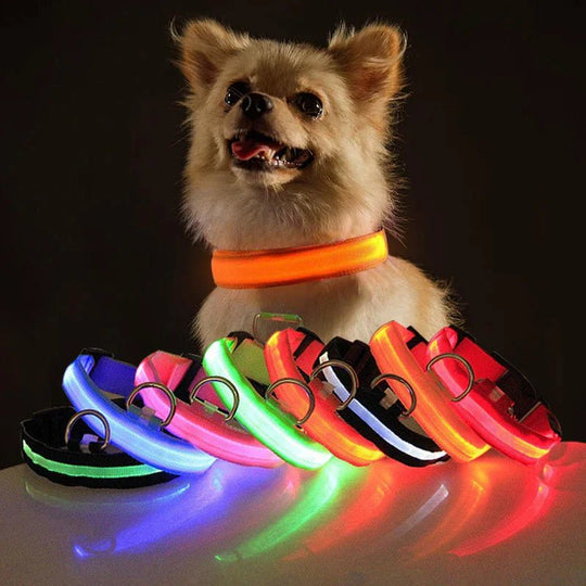 LED Adjustable Dog Collar Blinking Flashing Light Up Glow Pets Safety Waterproof - Absolute Discounts