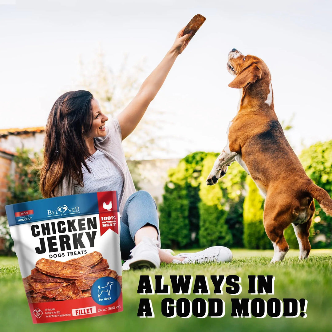 Chicken Jerky Dog Treats 1.5 Lb Human Grade Pet Snacks Grain Free Dried Strips - Absolute Discounts