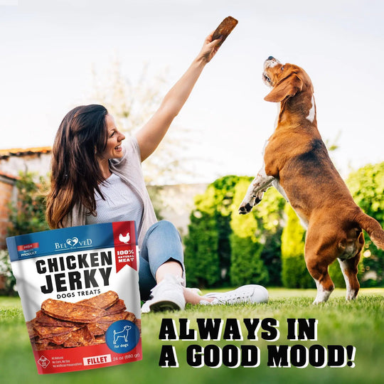 Chicken Jerky Dog Treats 1.5 Lb Human Grade Pet Snacks Grain Free Dried Strips - Absolute Discounts