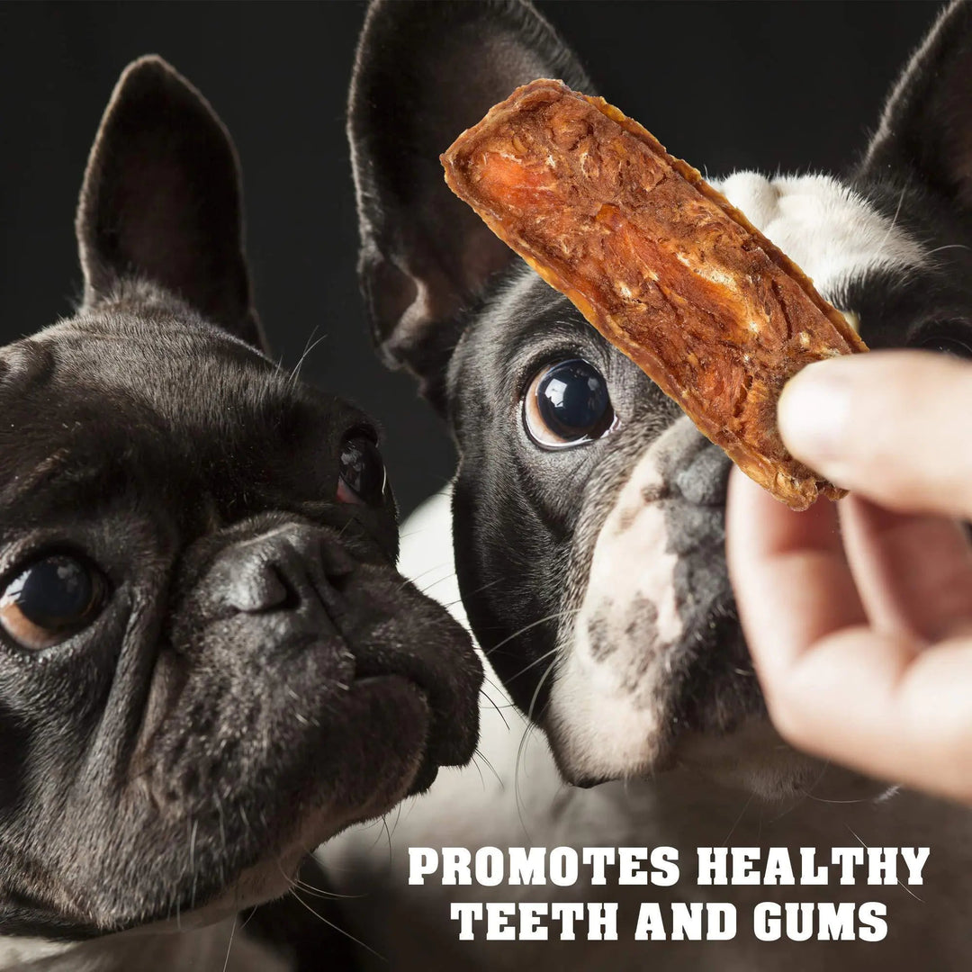 Chicken Jerky Dog Treats 1.5 Lb Human Grade Pet Snacks Grain Free Dried Strips - Absolute Discounts