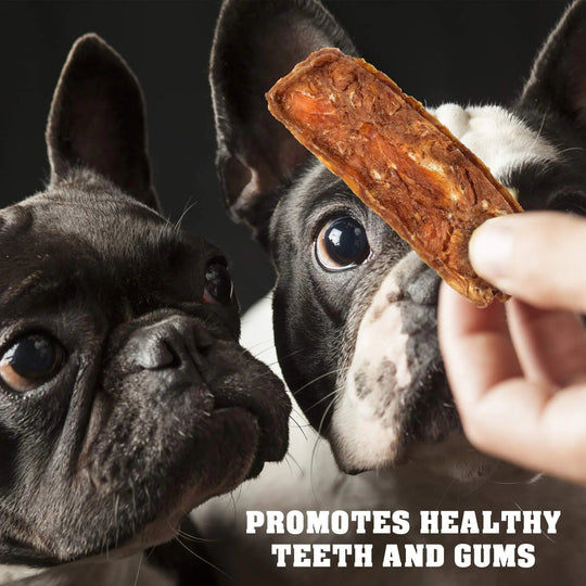Chicken Jerky Dog Treats 1.5 Lb Human Grade Pet Snacks Grain Free Dried Strips - Absolute Discounts