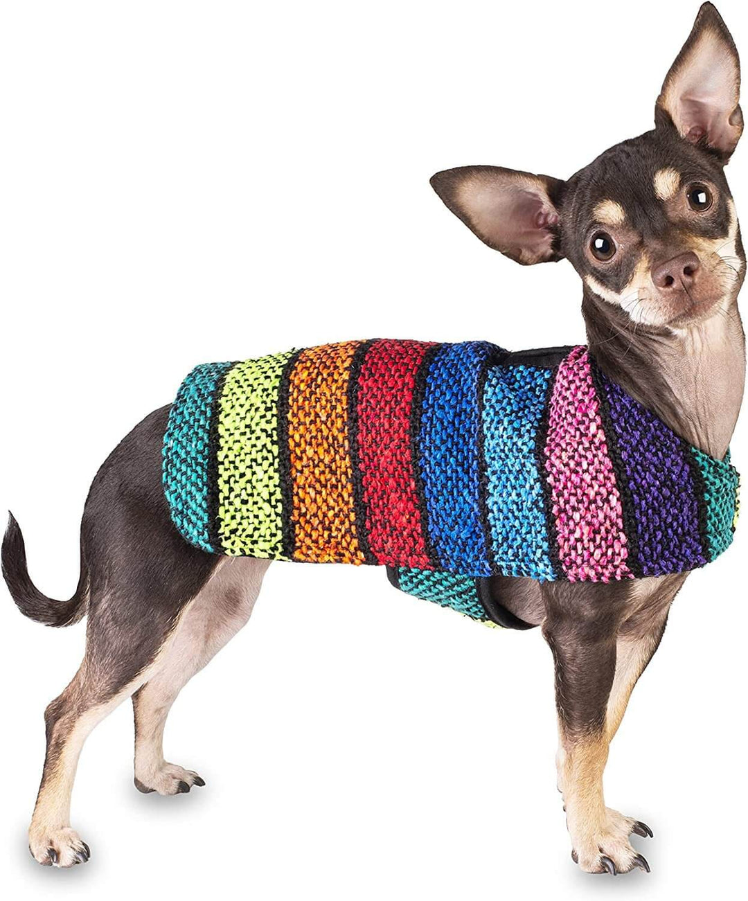 Chihuahua wearing a handmade, colorful poncho made from an authentic Mexican blanket, showcasing unique patterns and vibrant colors.