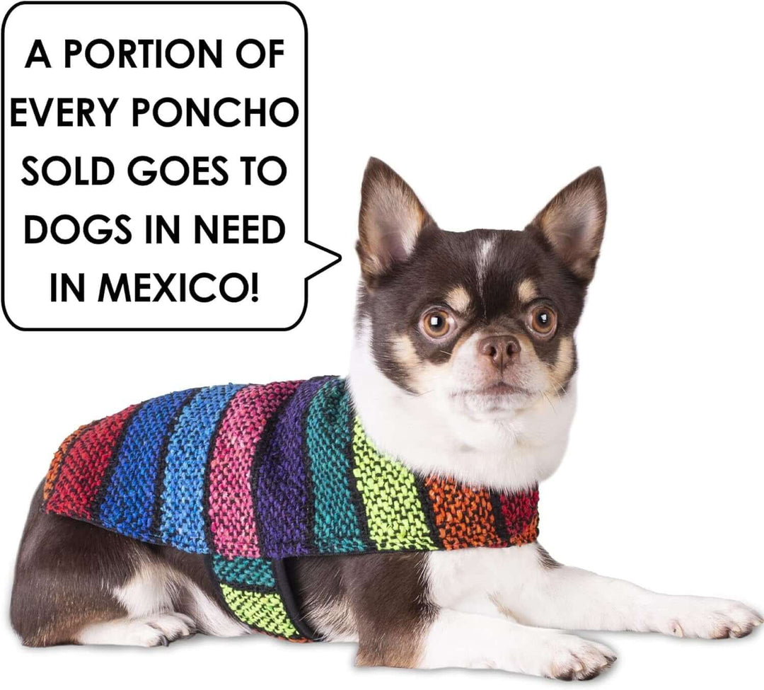 Chihuahua wearing a handmade dog poncho made from authentic Mexican blanket, promoting support for dogs in need.