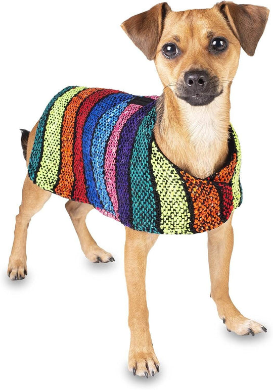 Handmade colorful dog poncho from authentic Mexican blanket, perfect for small dogs like Chihuahuas.