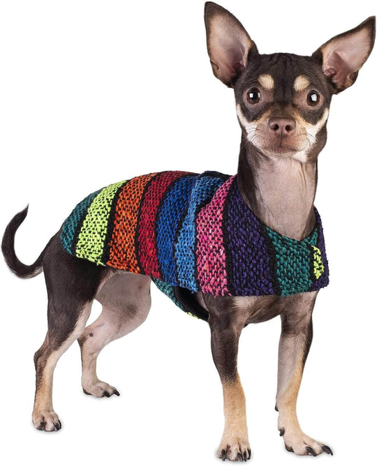 Chihuahua wearing a handmade multi-colored dog poncho made from an authentic Mexican blanket, showcasing unique design.