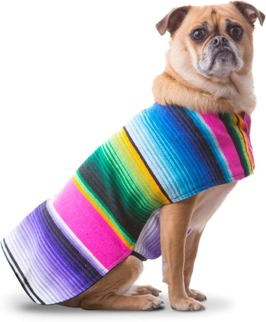 Handmade multi-color dog poncho from an authentic Mexican blanket on a pug, perfect for small to large dogs.