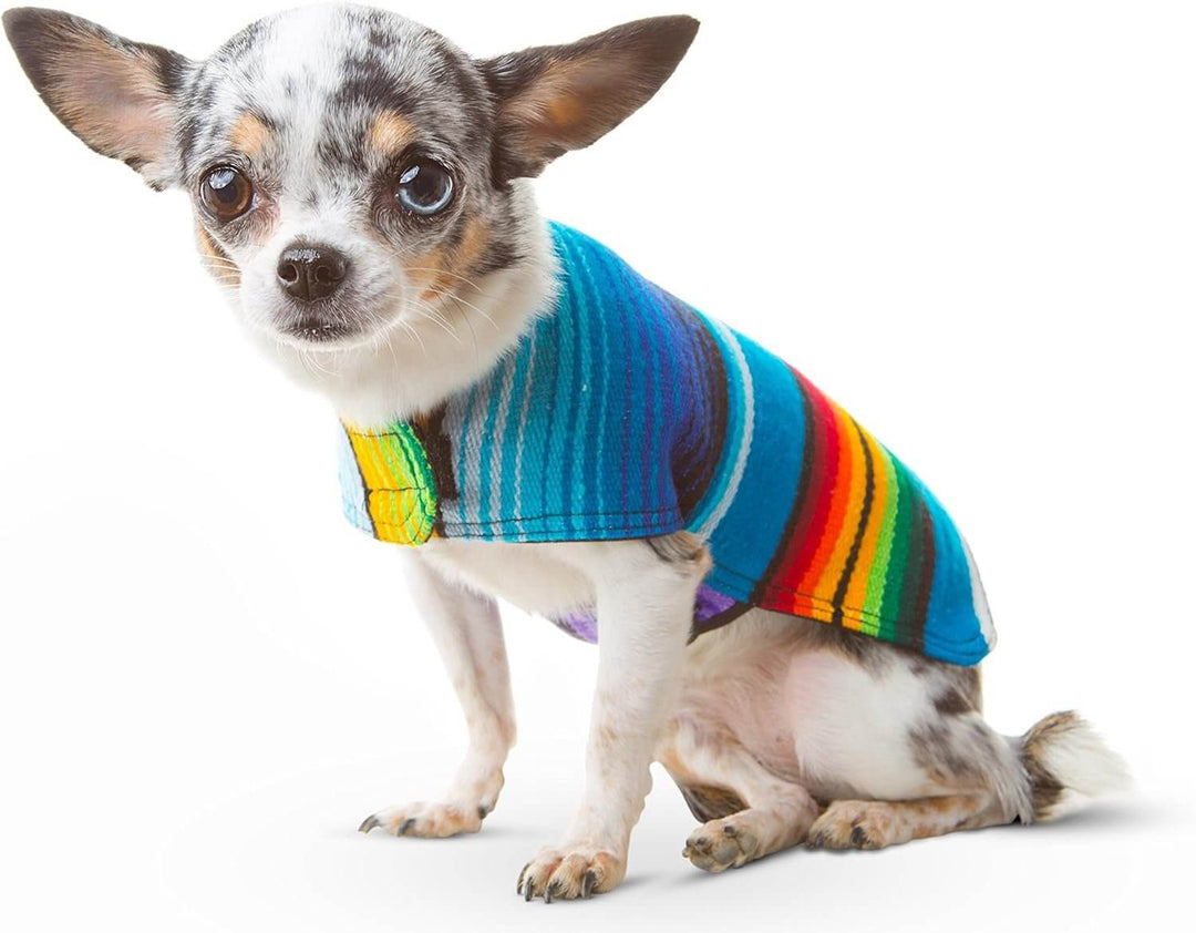Cute Chihuahua wearing a handmade dog poncho made from authentic Mexican blanket, showcasing vibrant colors.