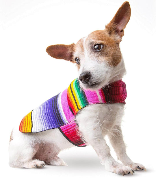 Handmade dog poncho in colorful Mexican blanket design, perfect for chihuahuas and small dogs.