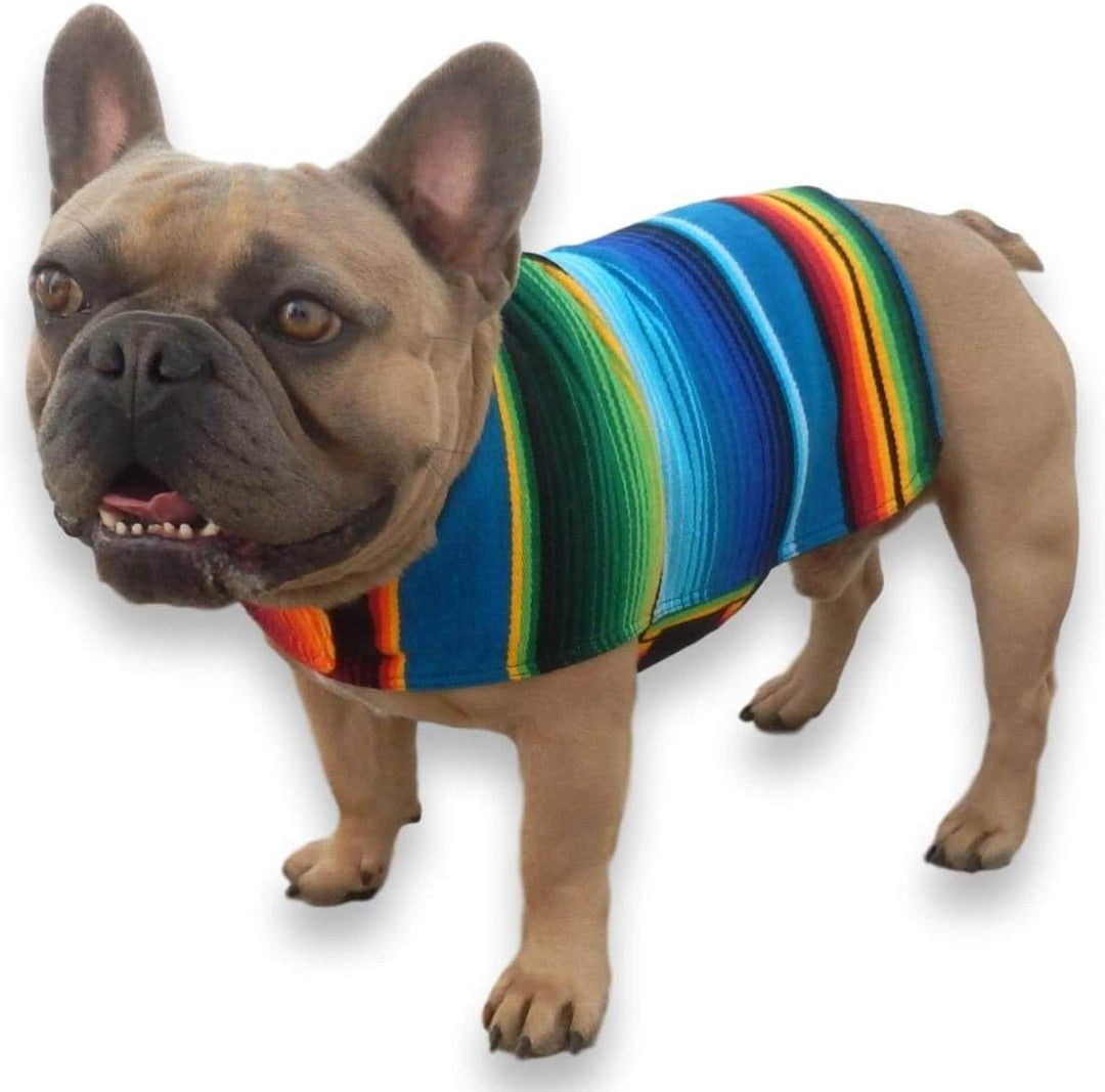 Multicolored handmade dog poncho on a French Bulldog, perfect for small dogs like Chihuahuas, stylish and unique.