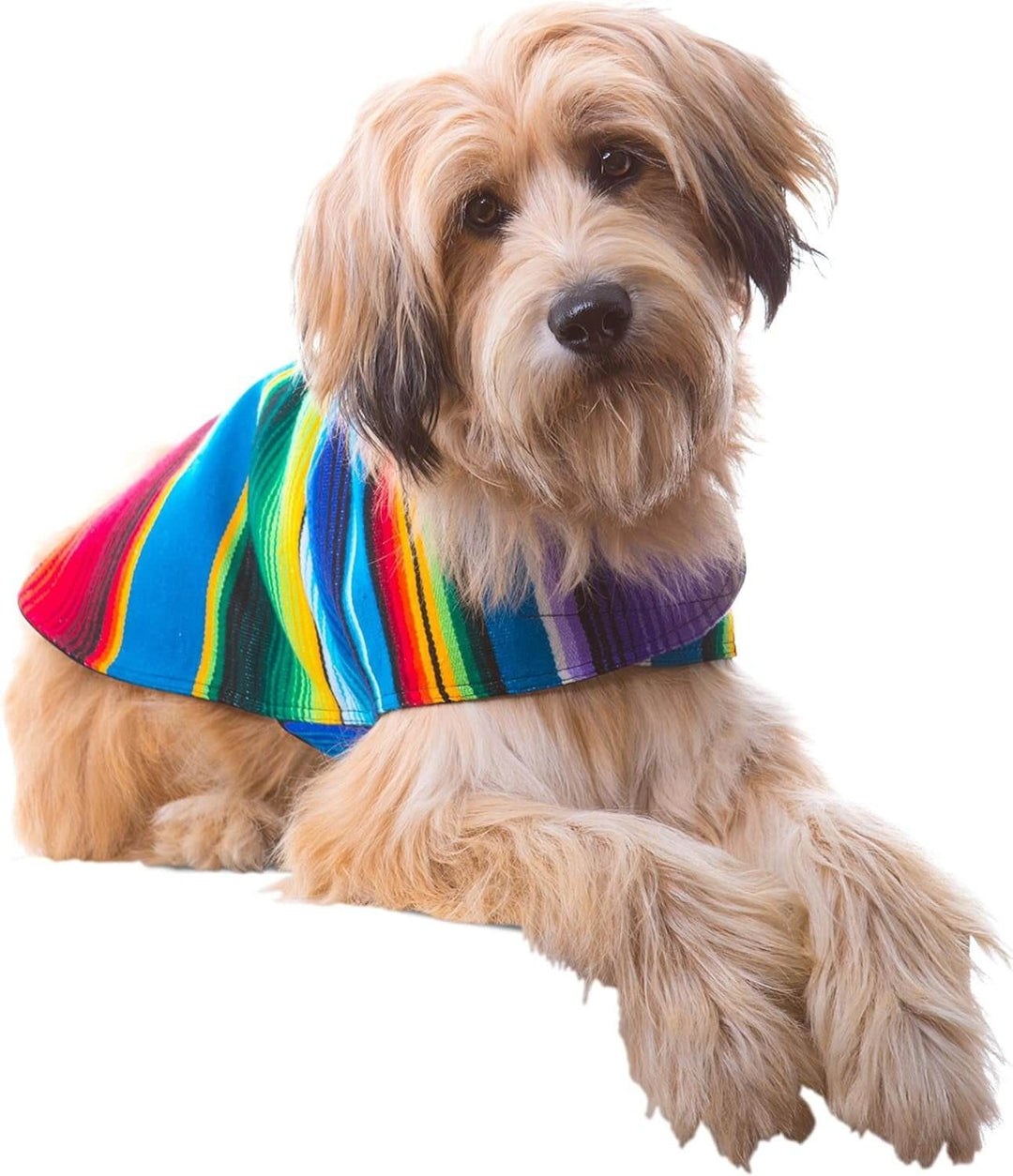 Handmade dog poncho in vibrant colors, perfect for Chihuahuas and small breeds, showcasing a unique design from a Mexican blanket.