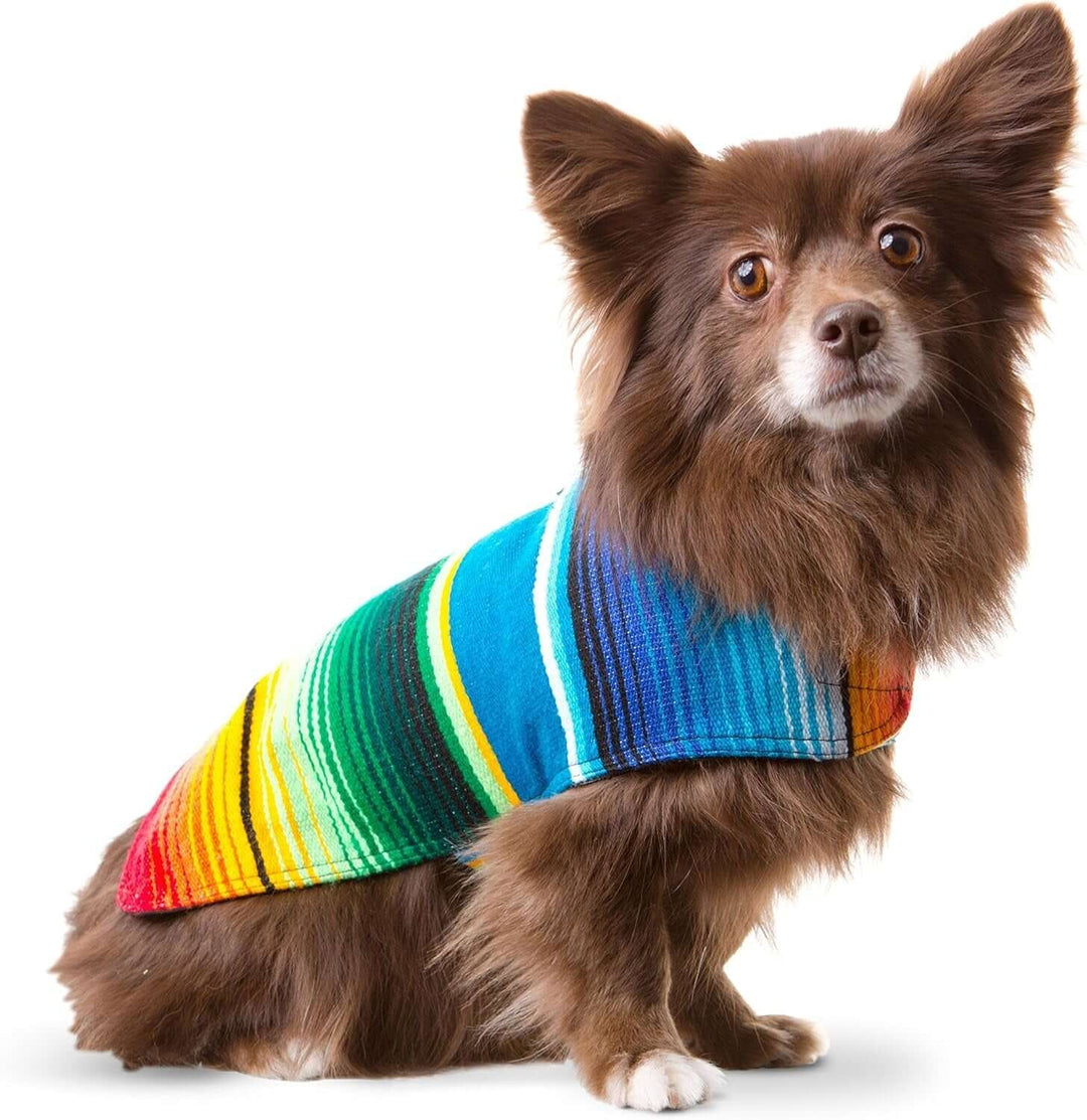 Charming Chihuahua wearing a handmade dog poncho from authentic Mexican blanket, featuring vibrant colors.
