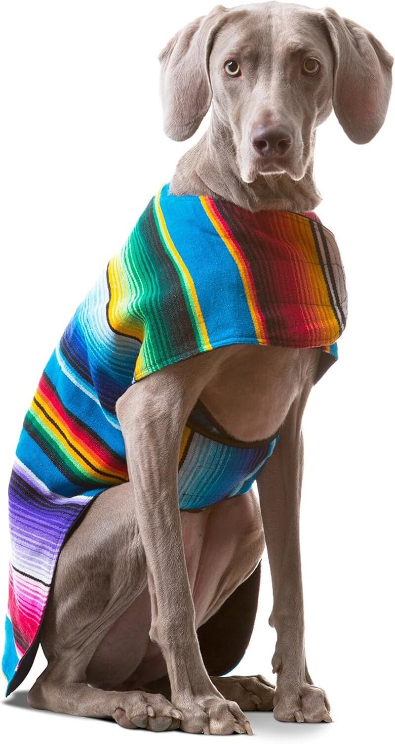 Handmade dog poncho made from authentic Mexican blanket, featuring vibrant colors, perfect for dogs of all sizes.