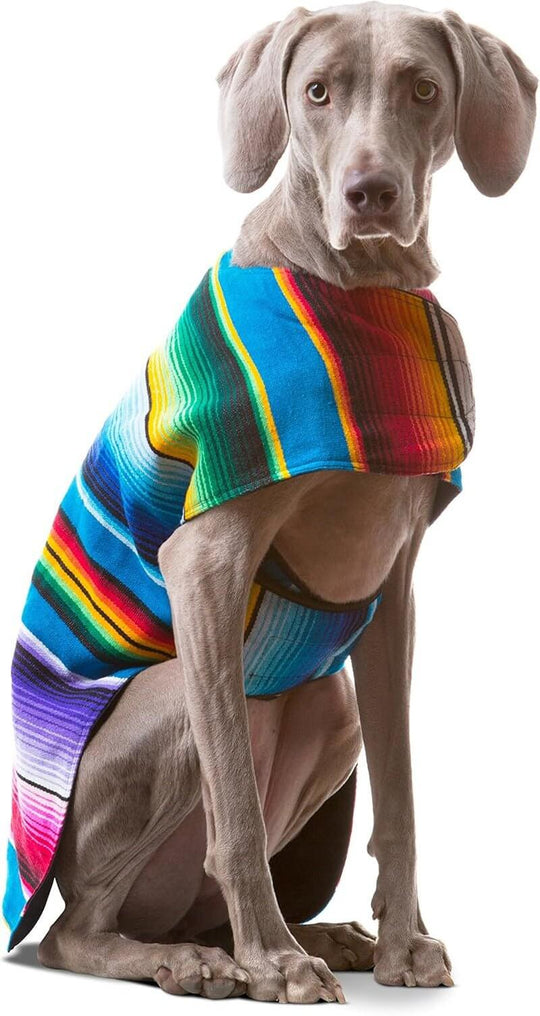 Handmade dog poncho made from authentic Mexican blanket, featuring vibrant colors, perfect for dogs of all sizes.