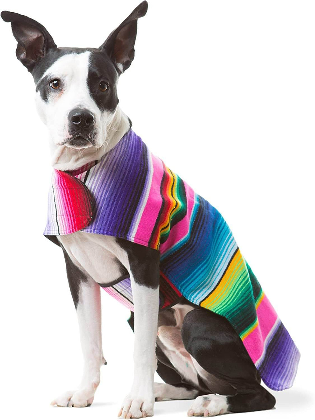 Handmade dog poncho from an authentic Mexican blanket in vibrant colors, perfect for small to large dogs.