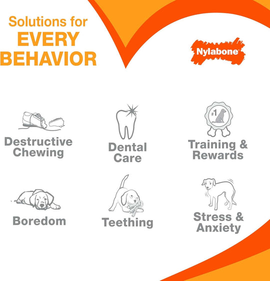 Nylabone Double Action Bone Power Chew Toy for Dogs, Dog Toys for Aggressive Chewers, Bacon Flavor, X - Large - 50+ Lbs, 1 Count - Absolute Discounts