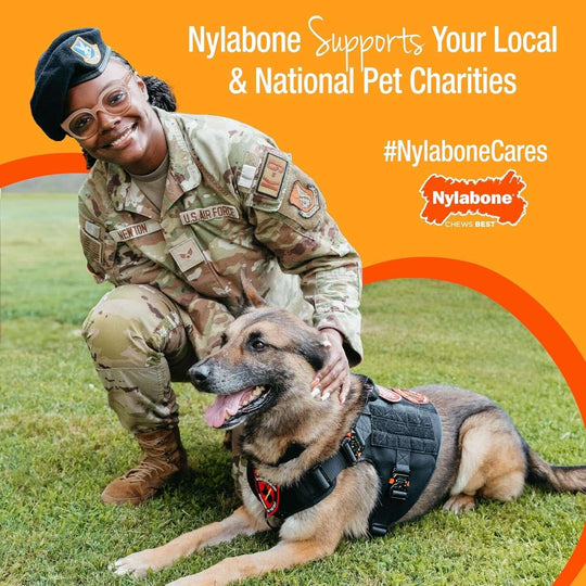 Nylabone Double Action Bone Power Chew Toy for Dogs, Dog Toys for Aggressive Chewers, Bacon Flavor, X - Large - 50+ Lbs, 1 Count - Absolute Discounts