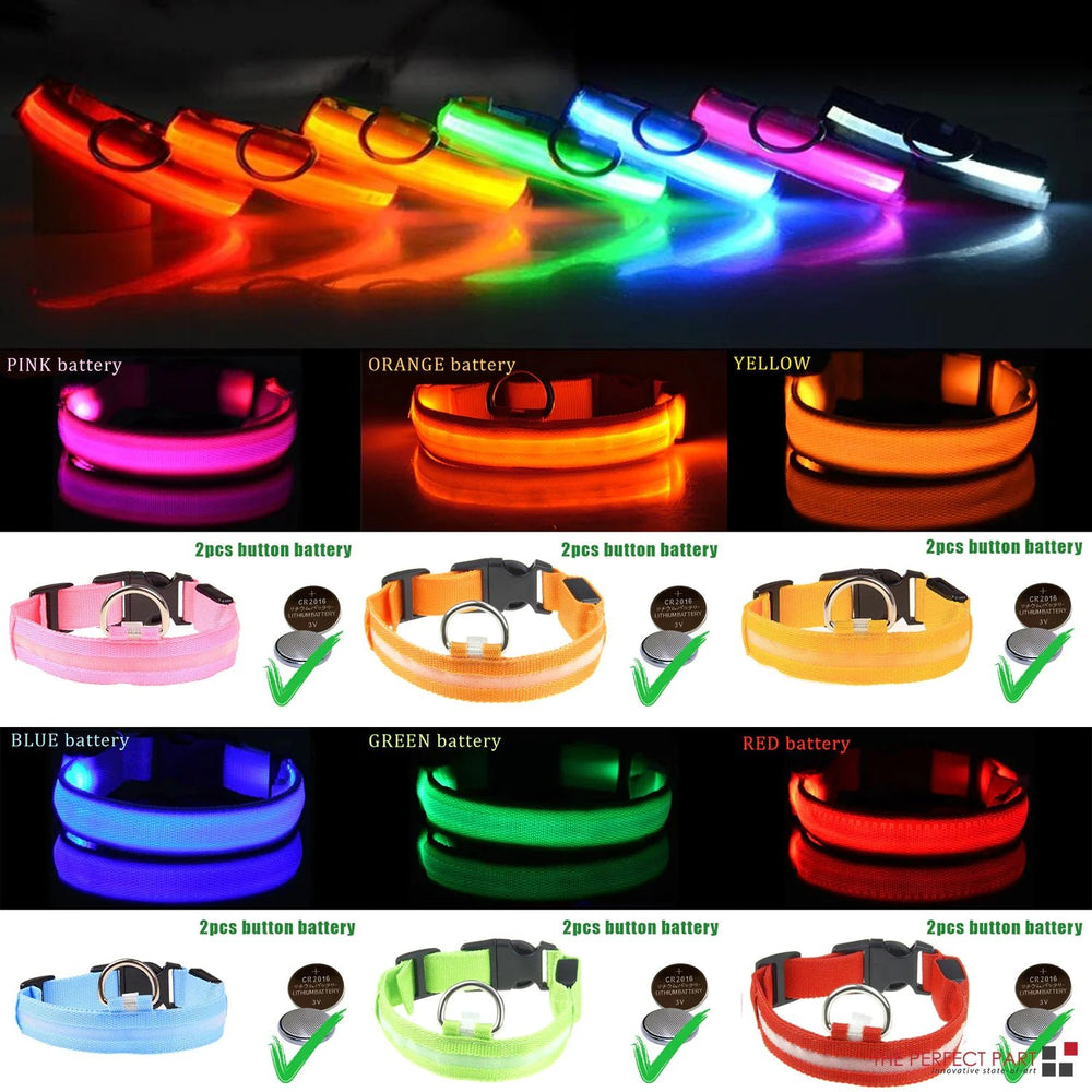 LED Adjustable Dog Collar Blinking Flashing Light Up Glow Pets Safety Waterproof - Absolute Discounts